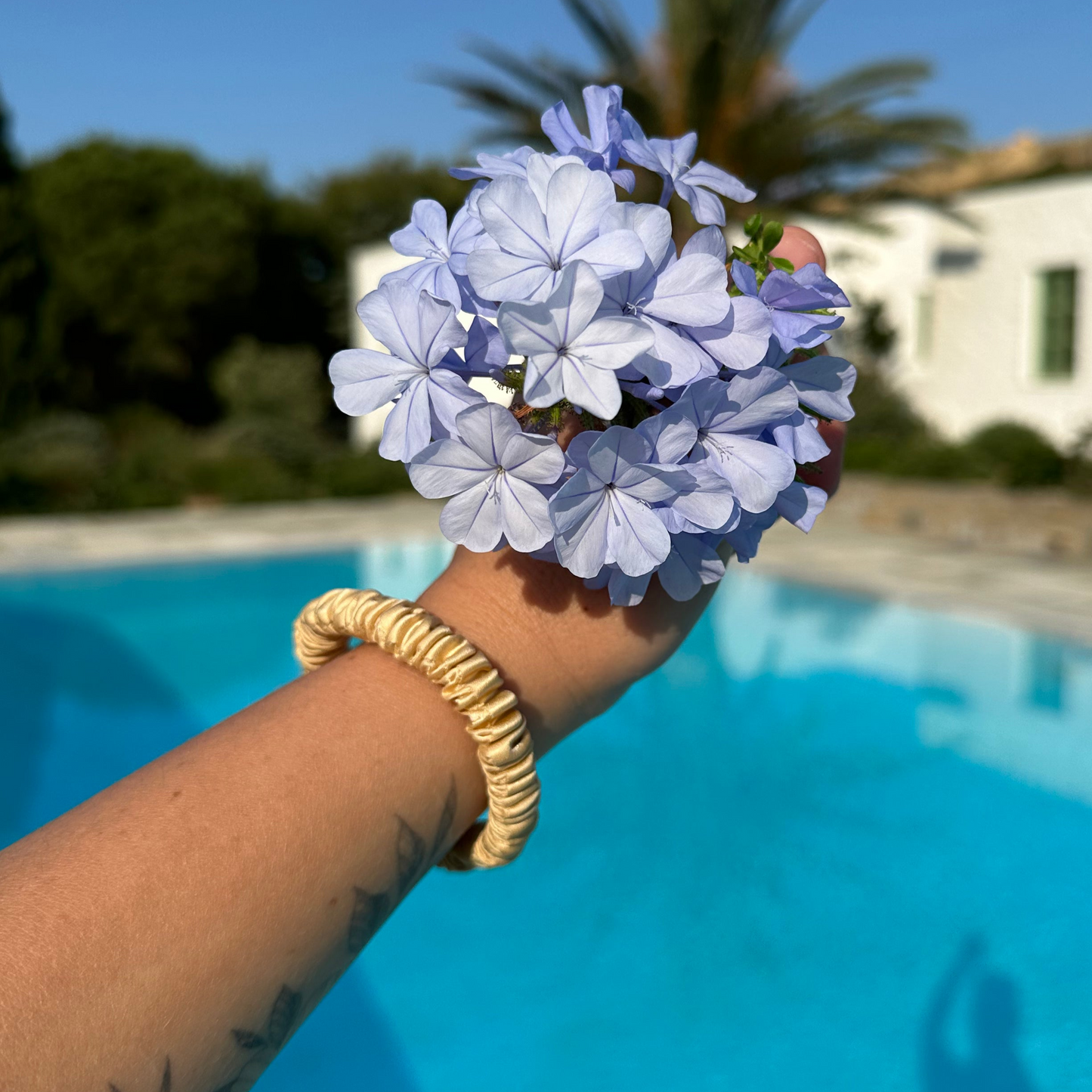 Everyday Silk Hair Tie Set in Honey Silk